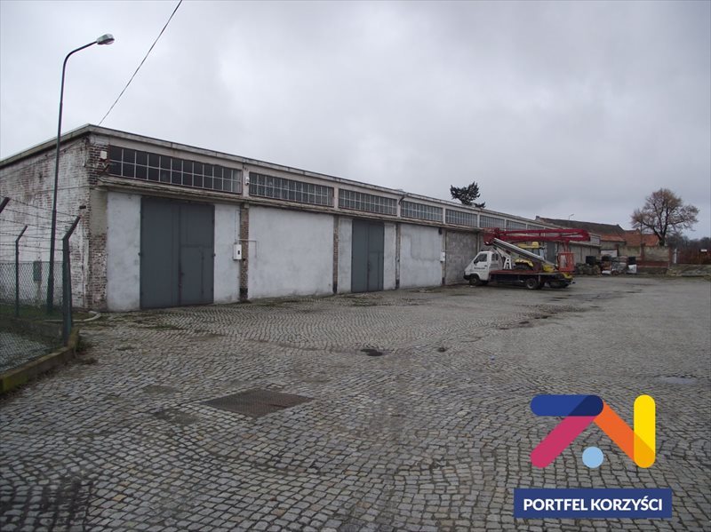 Lokal użytkowy na wynajem Szprotawa 162m2 Foto 1 Lokal użytkowy na wynajem Szprotawa 162m2 Foto 1