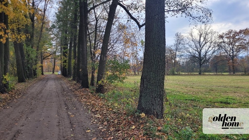 Działka budowlana na sprzedaż Kąkolewo, Albertowsko  5 000m2 Foto 6