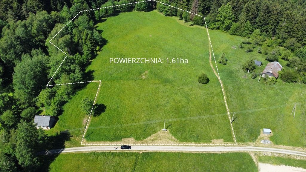 Działka budowlana na sprzedaż Korczyna, Dolińska  16 060m2 Foto 1