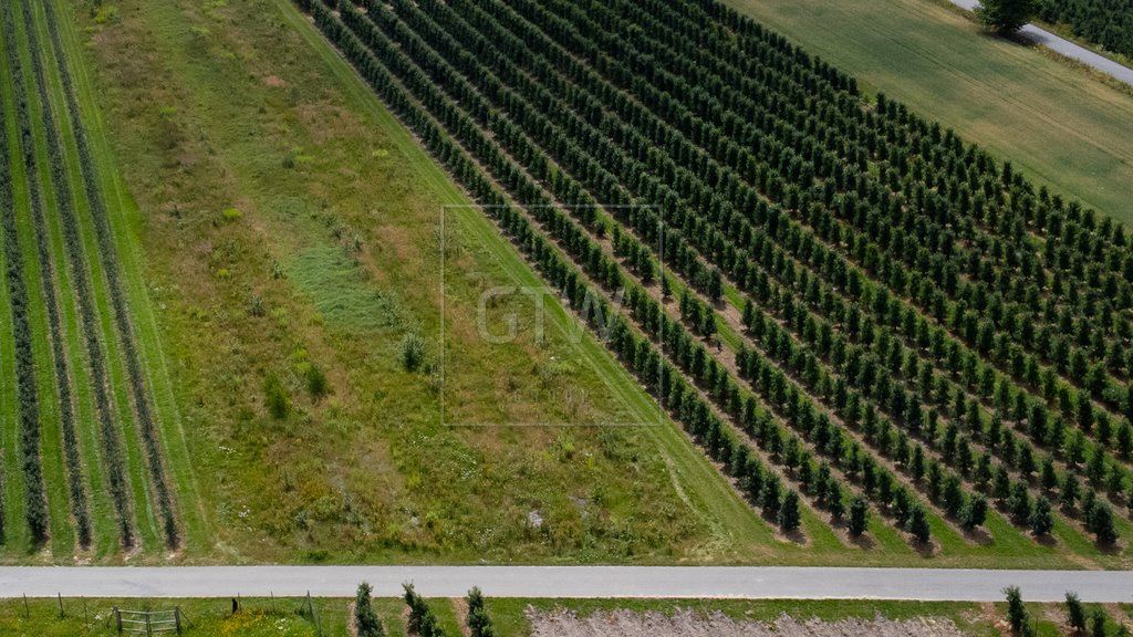 Działka budowlana na sprzedaż Martynów  1 499m2 Foto 3