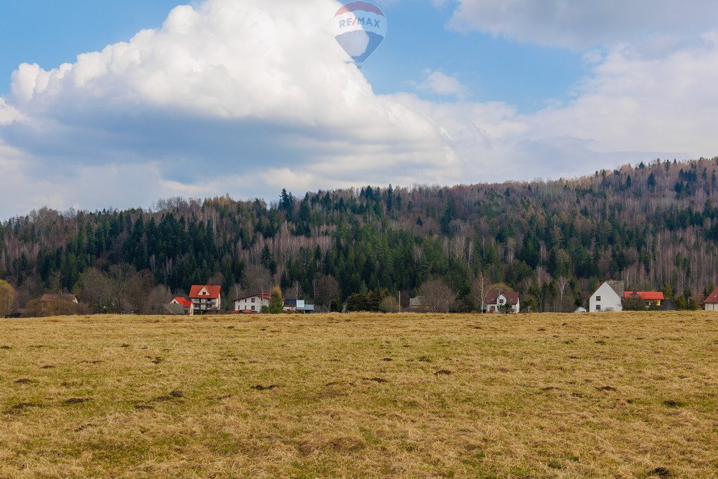 Działka rolna na sprzedaż Sopotnia Wielka  3 098m2 Foto 5