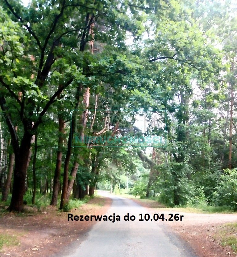 Działka w Radoniach 500 m2 z lasem i infrastrukturą Radonie  500m2 Foto 1