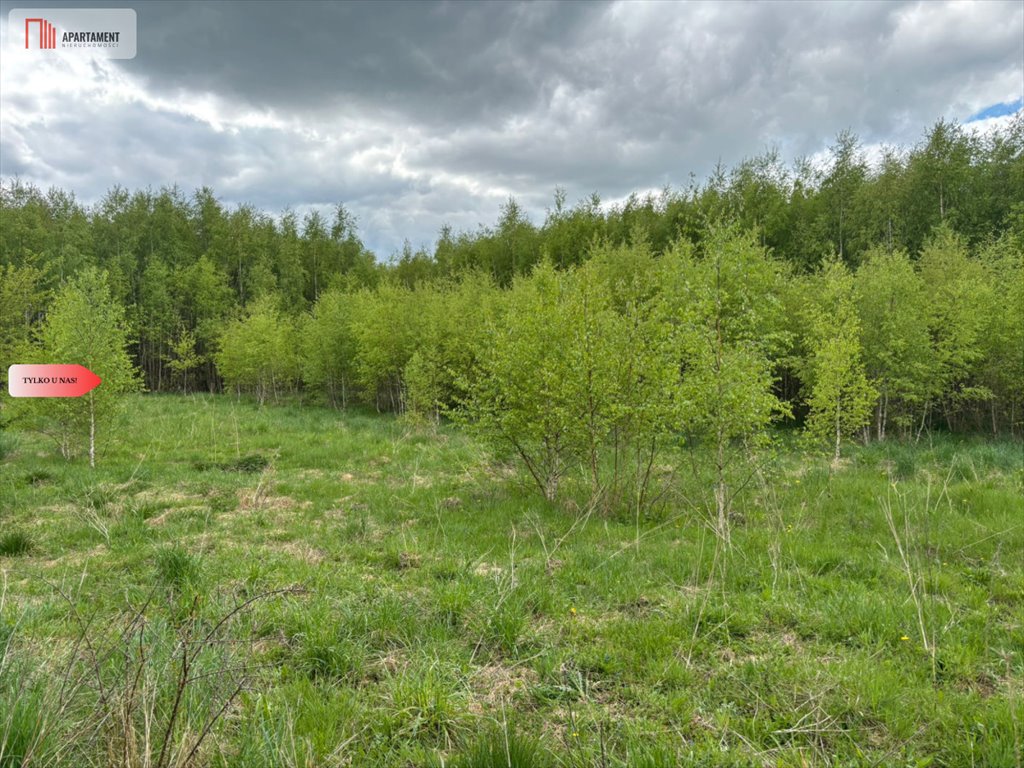 Działka 3069 m² pod zabudowę w Borczu - polecam Borcz  3 069m2 Foto 1