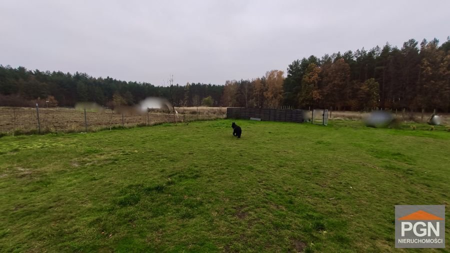 Działka 1094 m² w Kołczewie z domkami i biznesem - zapraszam Kołczewo, Żwirowa  1 094m2 Foto 1