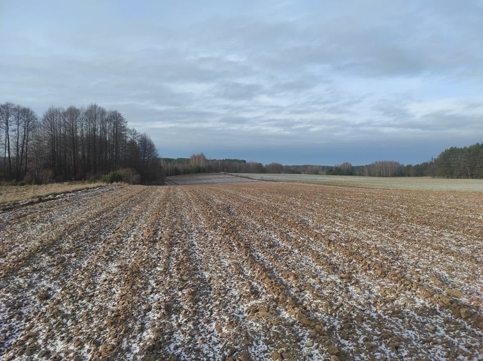 Działka gospodarstwo rolne na sprzedaż Zastocze  20 064m2 Foto 5