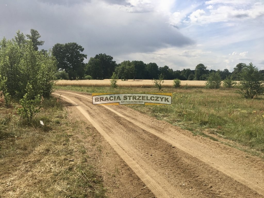 Działka siedliskowa na sprzedaż Stary Lubiel 7 400m2 Foto 1 Działka siedliskowa na sprzedaż Stary Lubiel 7 400m2 Foto 1
