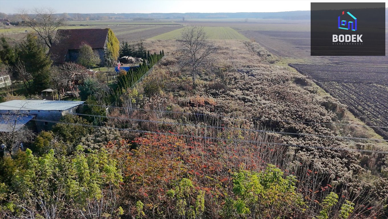 Działka budowlana na sprzedaż Miłocice, Główna  5 097m2 Foto 11