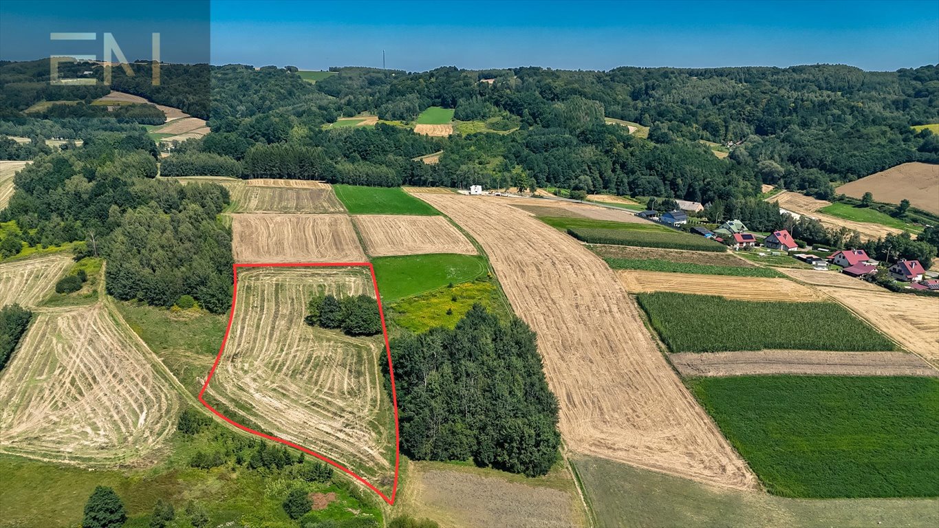 Działka rolna na sprzedaż Grodzisko  6 553m2 Foto 1