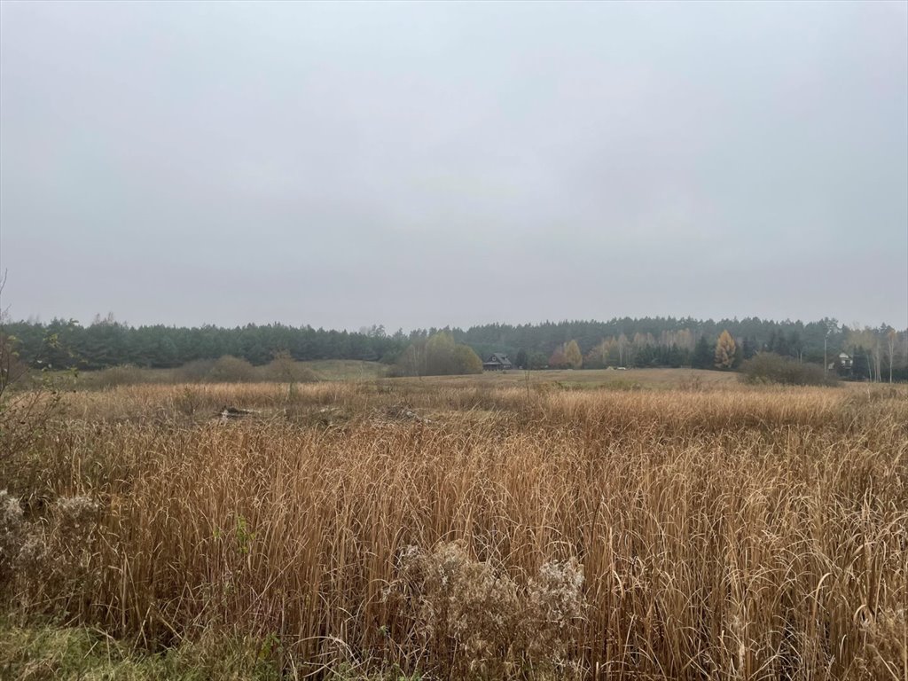 Działka rolna na sprzedaż Miłuki  3 015m2 Foto 5