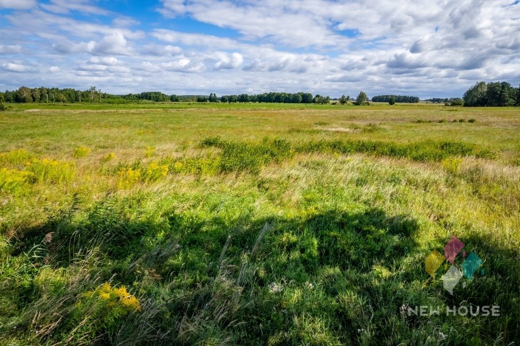 Działka budowlana na sprzedaż Tałty  169 500m2 Foto 13