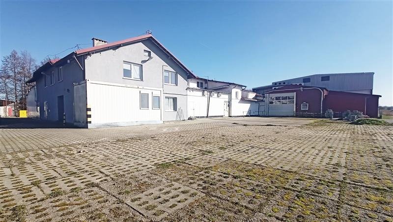 Lokal użytkowy na wynajem Łeba, Wspólna  2 602m2 Foto 2