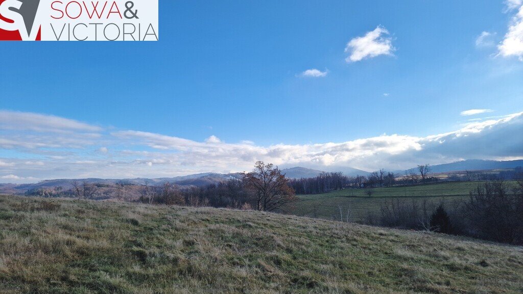 Działka budowlana na sprzedaż Zagórze Śląskie  2 100m2 Foto 2