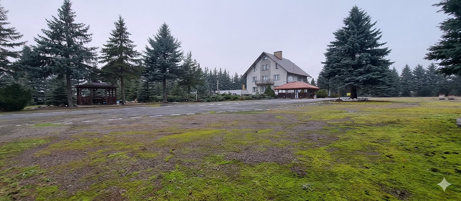 Lokal użytkowy na sprzedaż Żółtki  1 000m2 Foto 1