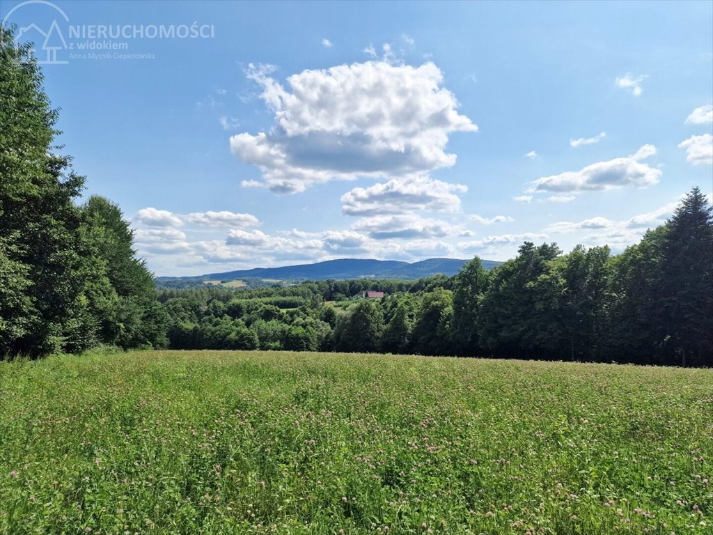 Działka budowlana na sprzedaż Błażkowa  2 559m2 Foto 7