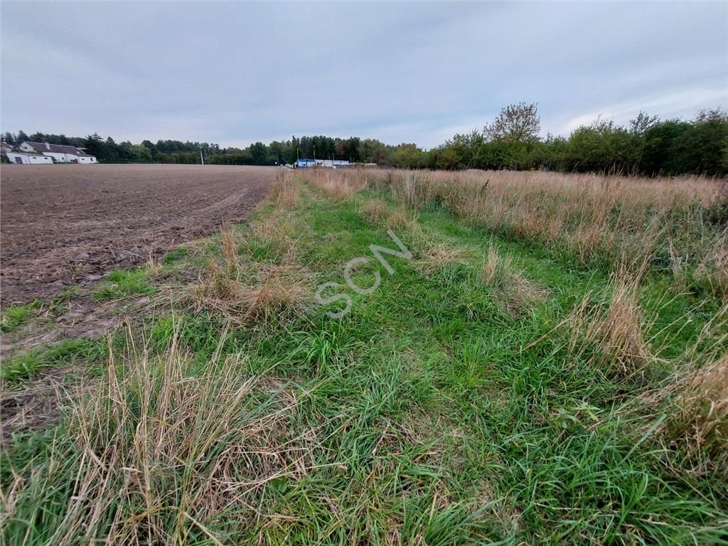 Działka budowlana na sprzedaż Duchnów  1 000m2 Foto 6