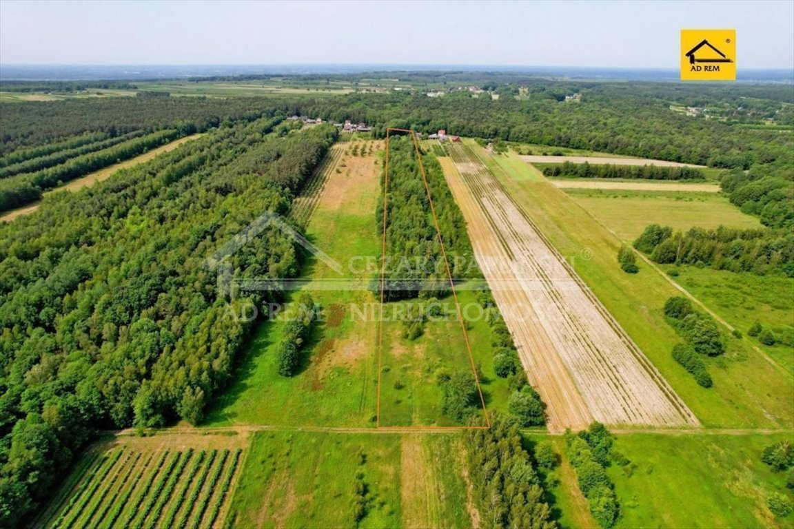 Działka rekreacyjna na sprzedaż Uściąż-Kolonia, Uściąż Kolonia  23 000m2 Foto 4