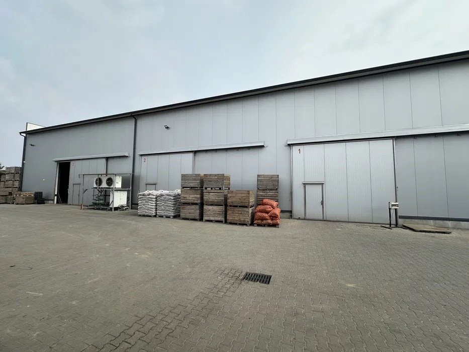 Lokal użytkowy na wynajem piaseczyński  600m2 Foto 1