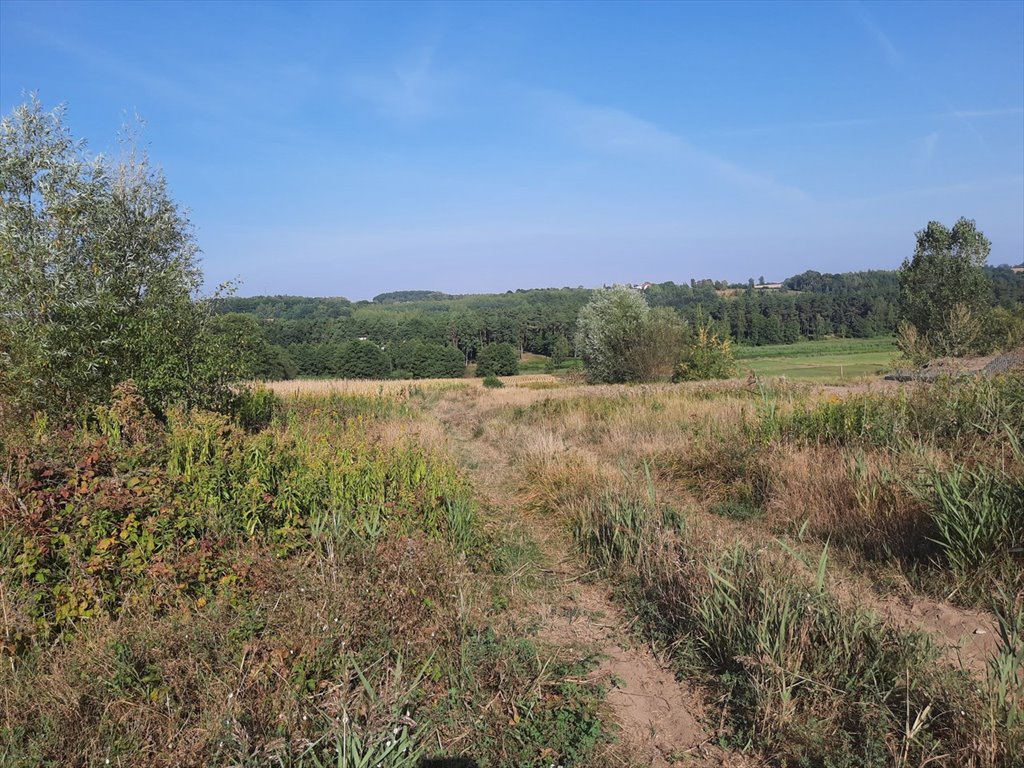 Działka budowlana na sprzedaż Krobia  1 506m2 Foto 8