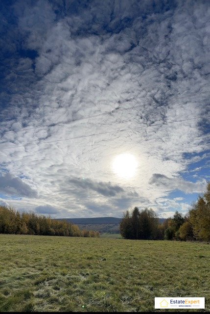 Działka rolna na sprzedaż Wiącka, Wiącka, 118  20 000m2 Foto 9