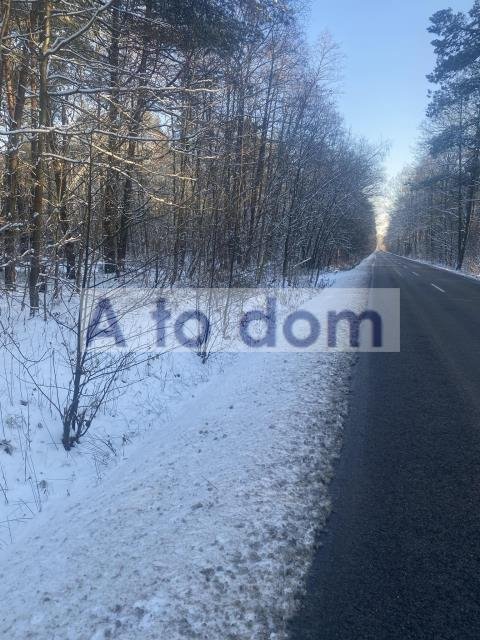 Duża działka leśna 18 200 m² z dostępem do prądu Choiny  18 200m2 Foto 1