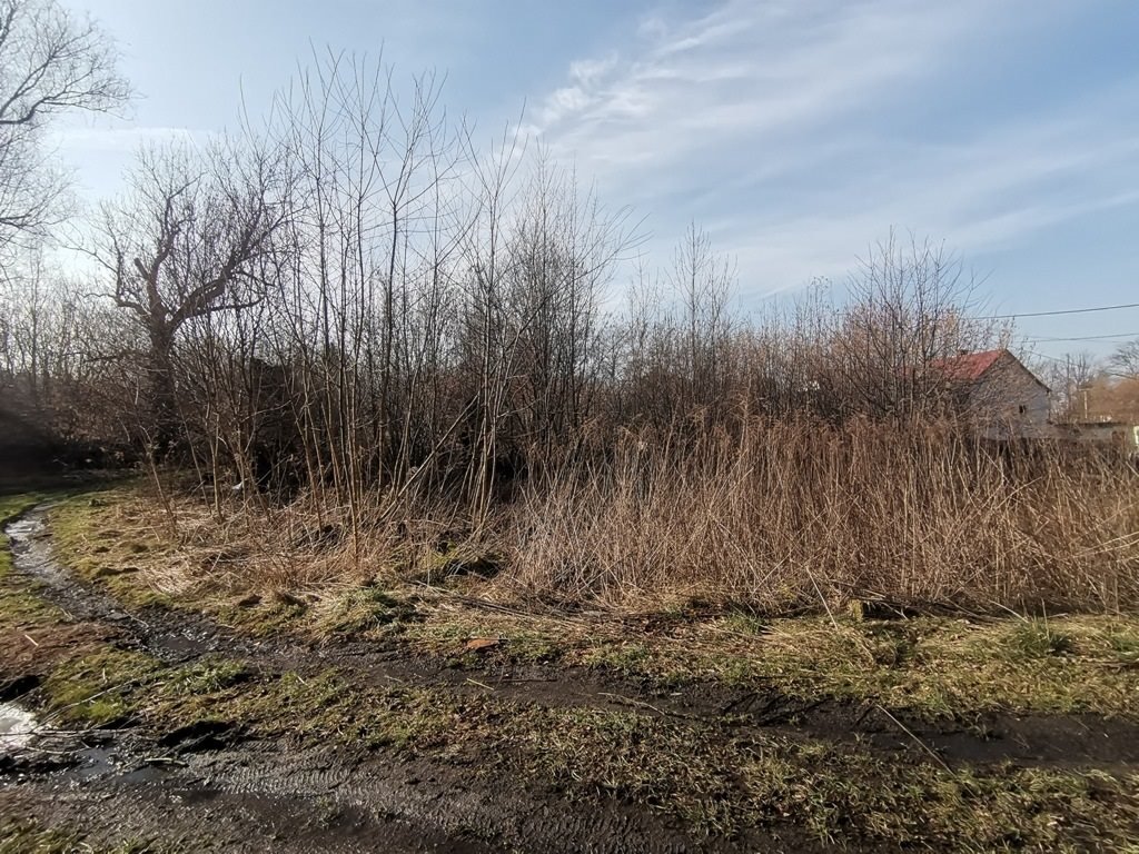 Działka inna na sprzedaż Bogatynia, Markocice  1 891m2 Foto 9