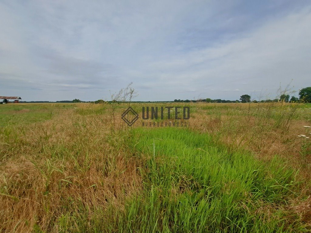 Działka budowlana na sprzedaż Jagoszyce  1 000m2 Foto 2