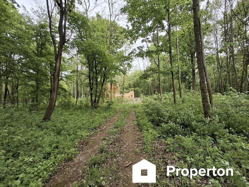 Działka leśna z prawem budowy na sprzedaż Wręcza, Pałacowa  27 700m2 Foto 1