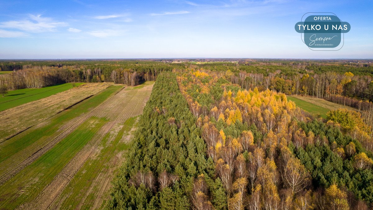 Działka budowlana na sprzedaż Anastazów  13 460m2 Foto 12