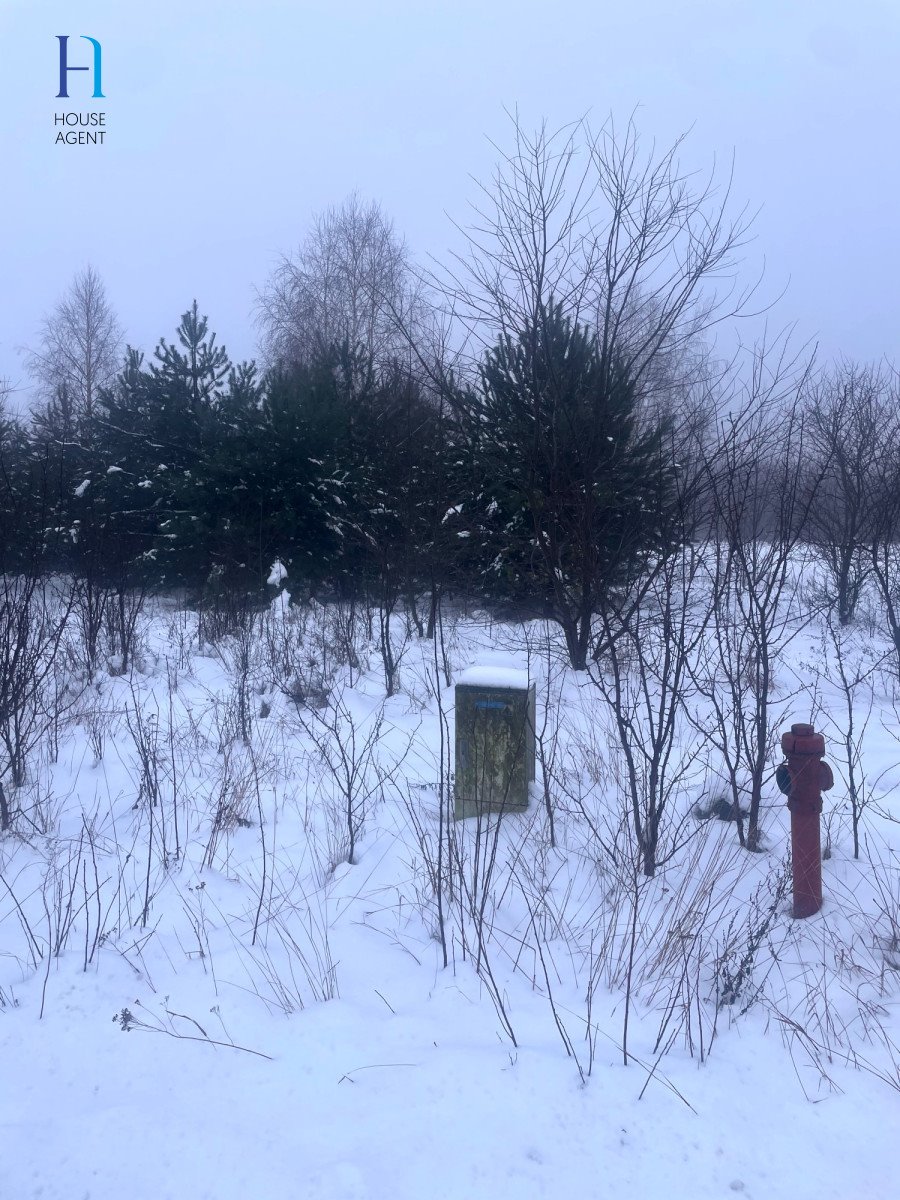 Działka rolna na sprzedaż Janów  6 000m2 Foto 5