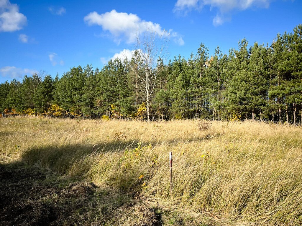 Działka budowlana na sprzedaż Magonie  1 200m2 Foto 4