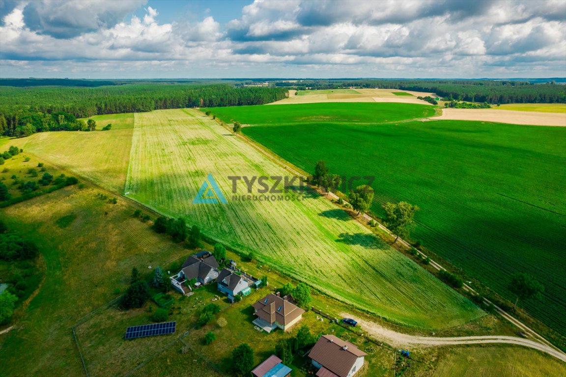 Działka rolna na sprzedaż Nożyno  3 010m2 Foto 11