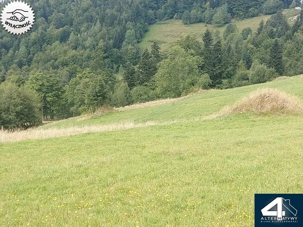 Działka budowlana na sprzedaż Przyborów, Moczarki 491  1 379m2 Foto 13