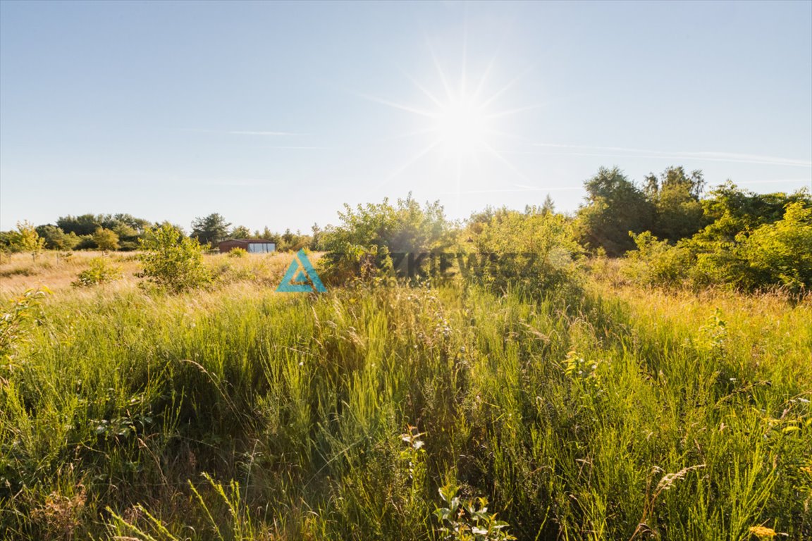 Działka przemysłowo-handlowa na sprzedaż Łebcz, Wiśniowa  1 200m2 Foto 11