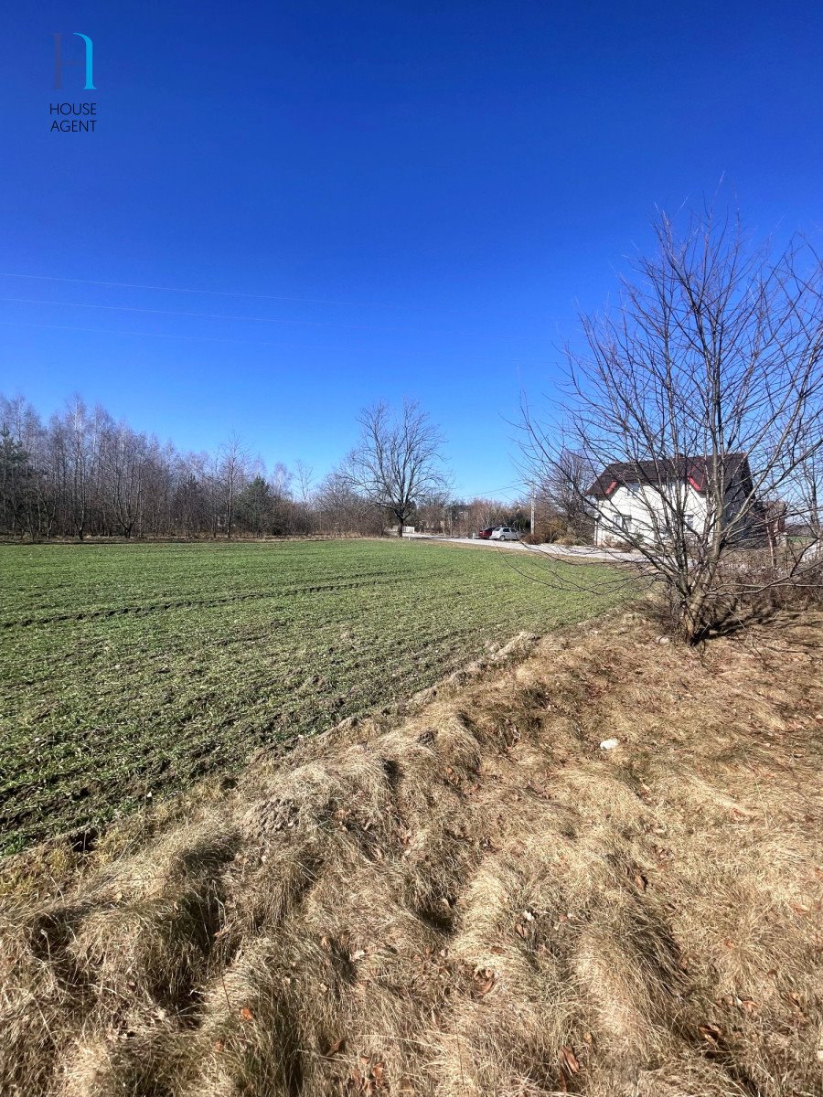 Działka rolna na sprzedaż Janów  6 000m2 Foto 10