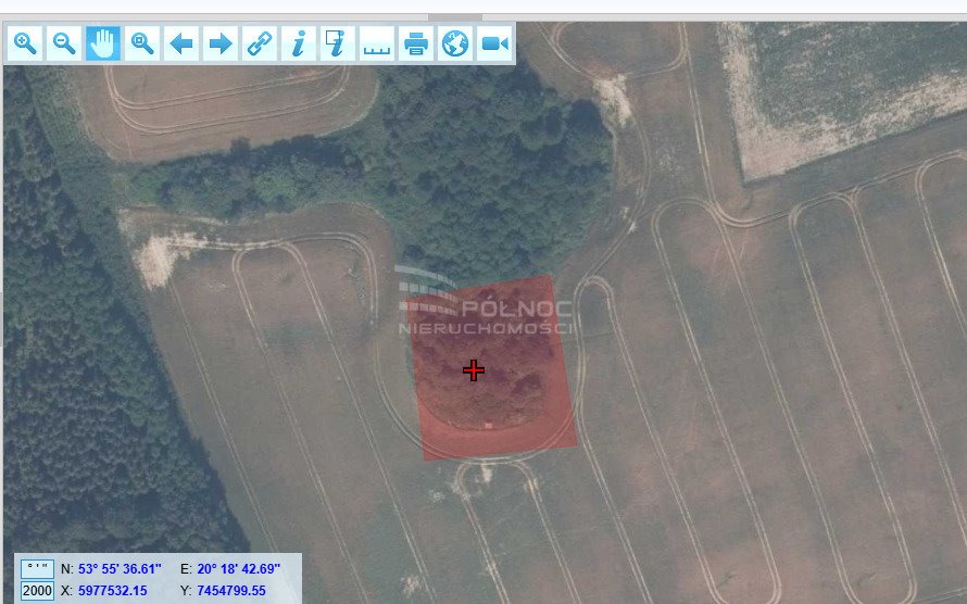 Działka budowlana na sprzedaż Kwiecewo  3 100m2 Foto 2