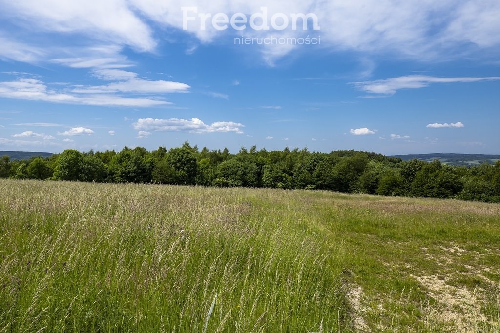 Działka budowlana na sprzedaż Wielopole Skrzyńskie  12 400m2 Foto 9