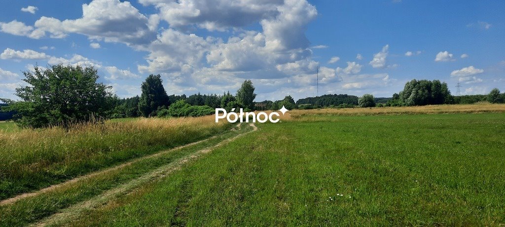 Działka rolna 7 985 m² Dobrzyniewo Kościelne - spokojne miejsce Dobrzyniewo Kościelne  7 985m2 Foto 1