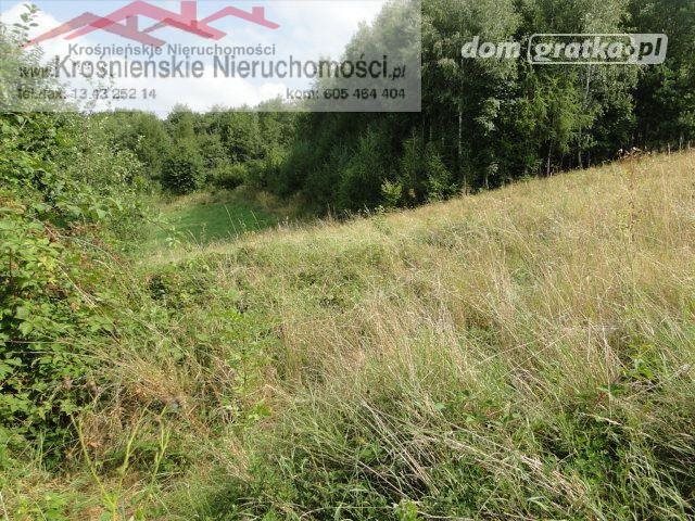 Działka 15 ar w Odrzykońiu – teren przyrodniczy, osuwiska Odrzykoń  1 500m2 Foto 1