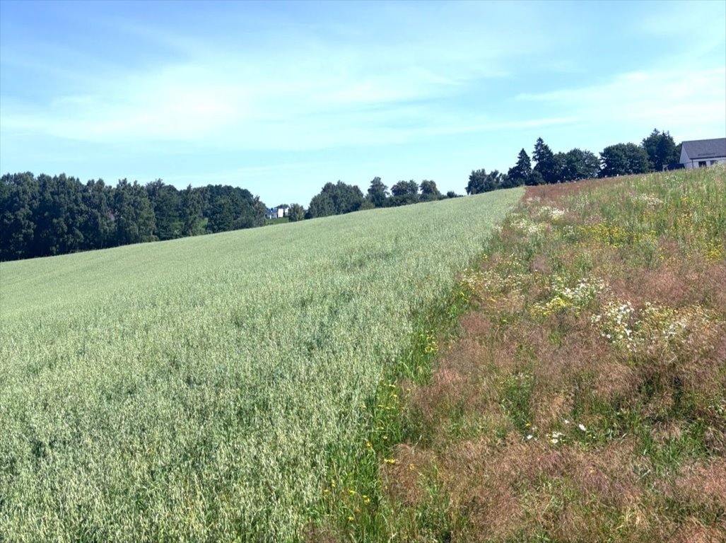 Sprzedam działkę 1000 m² w Dobrzewinie z pełnym uzbrojeniem Dobrzewino, Jeziorna  1 000m2 Foto 1