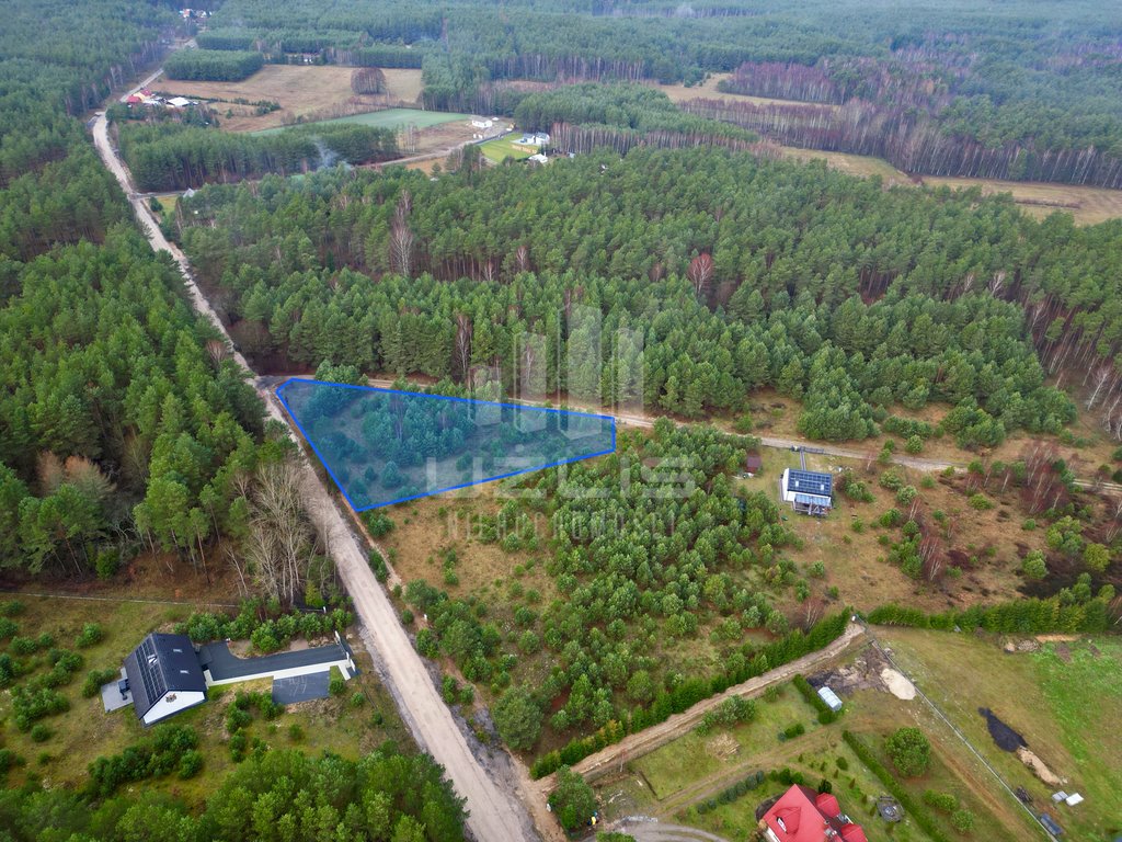 Działka budowlana na sprzedaż Osowo Leśne  3 064m2 Foto 1