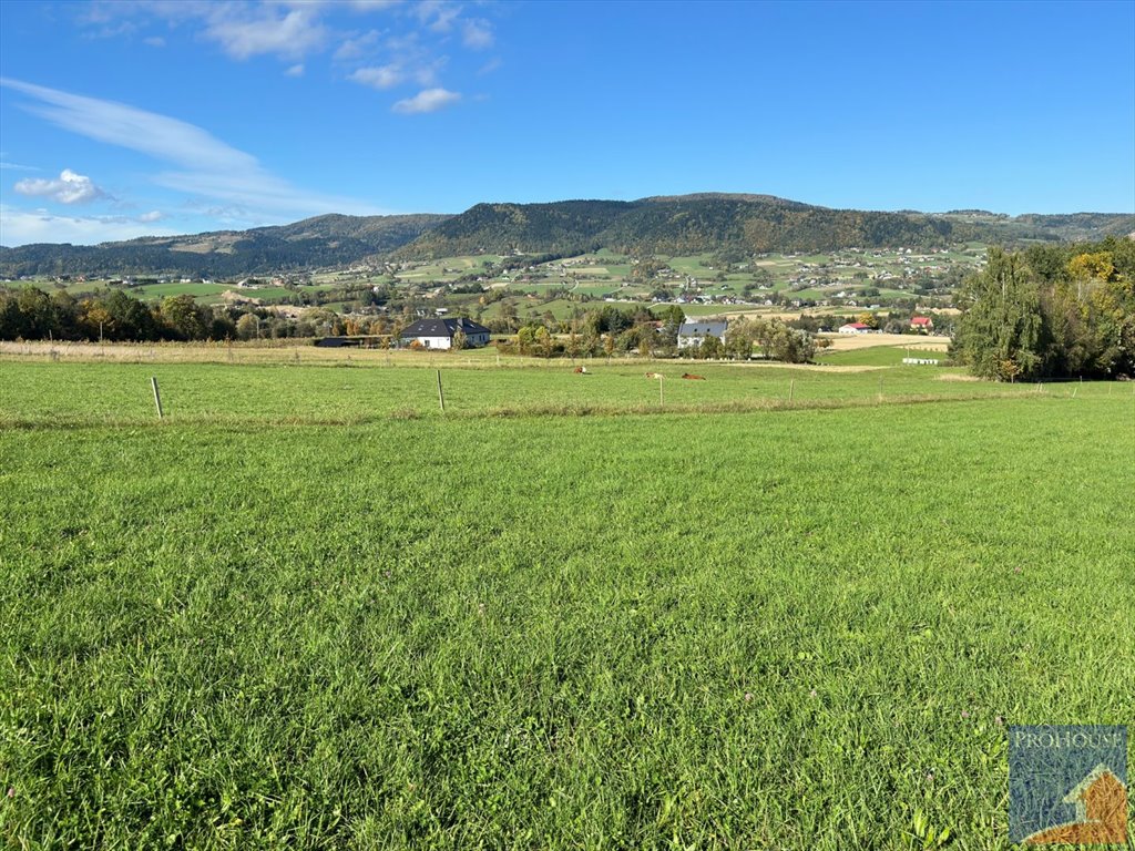 Działka budowlana na sprzedaż Męcina  6 600m2 Foto 8