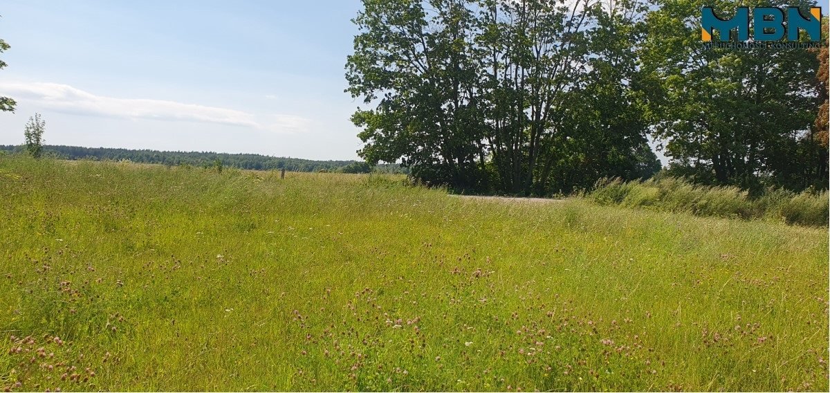 Działka rolna na sprzedaż Stręgielek, Stręgielek  3 035m2 Foto 8