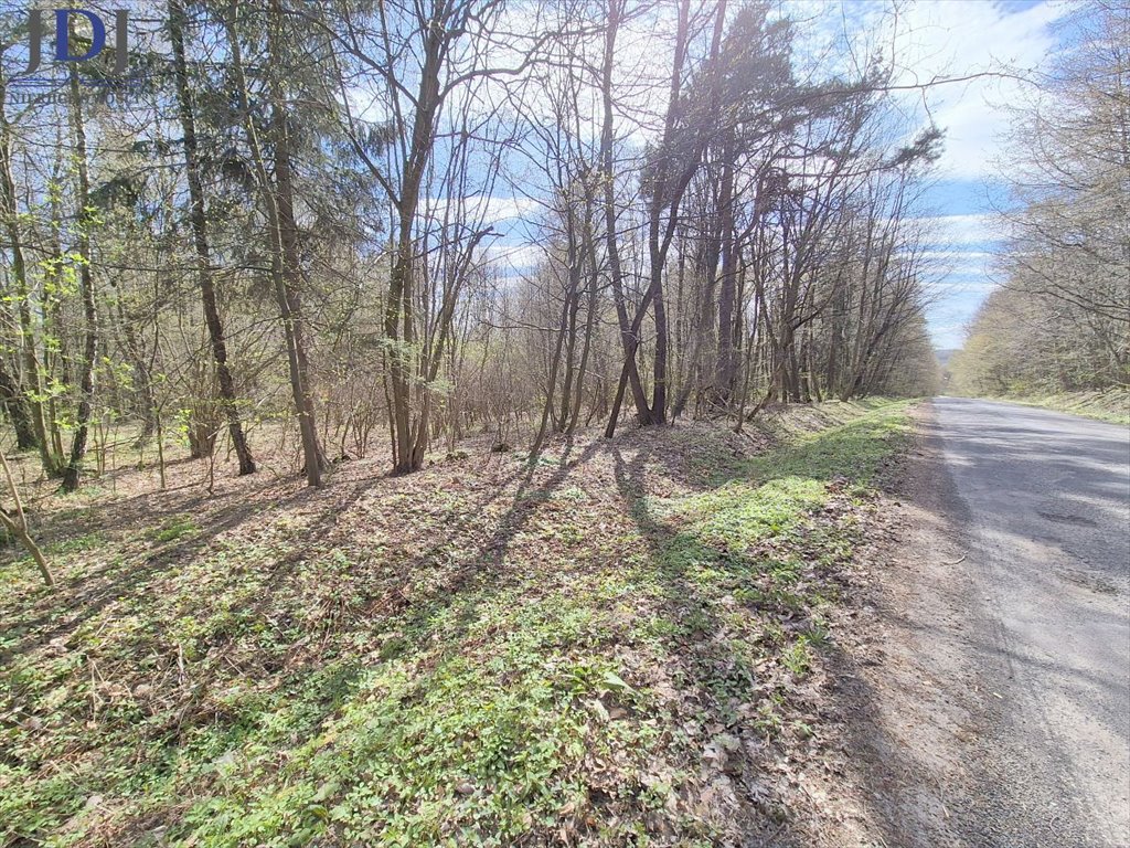 Działka inna na sprzedaż Olszanka  10 000m2 Foto 1