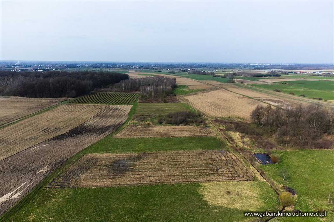 Działka rolna na sprzedaż Pawęzów  2 400m2 Foto 6