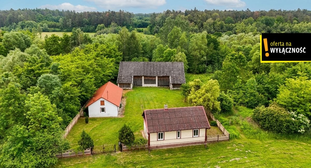 Zapraszam do urokliwego siedliska 60 m² z dużą działką 1 ha w Borkach Borki  60m2 Foto 1