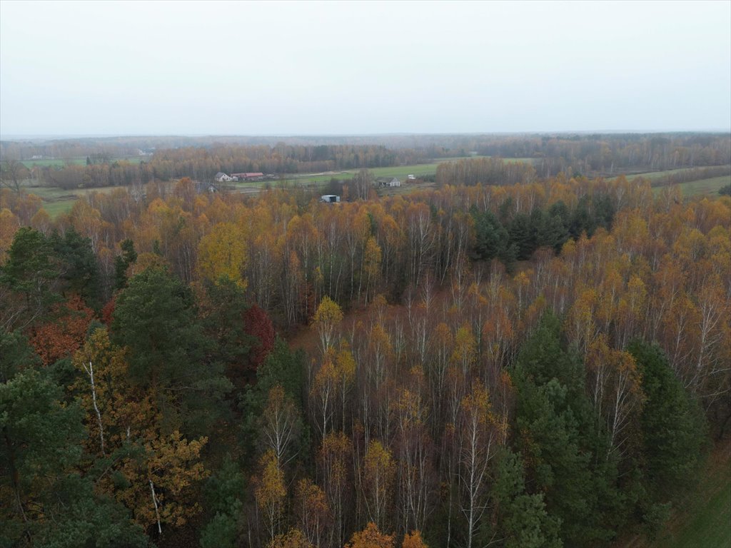 Działka budowlana na sprzedaż Strugi Krzywickie  26 000m2 Foto 3