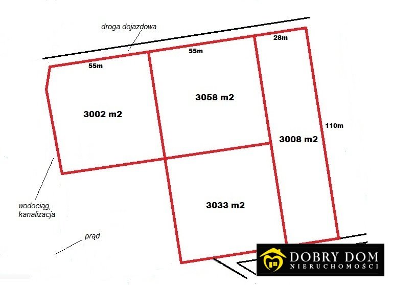 Działka budowlana na sprzedaż Krzywe  3 002m2 Foto 12