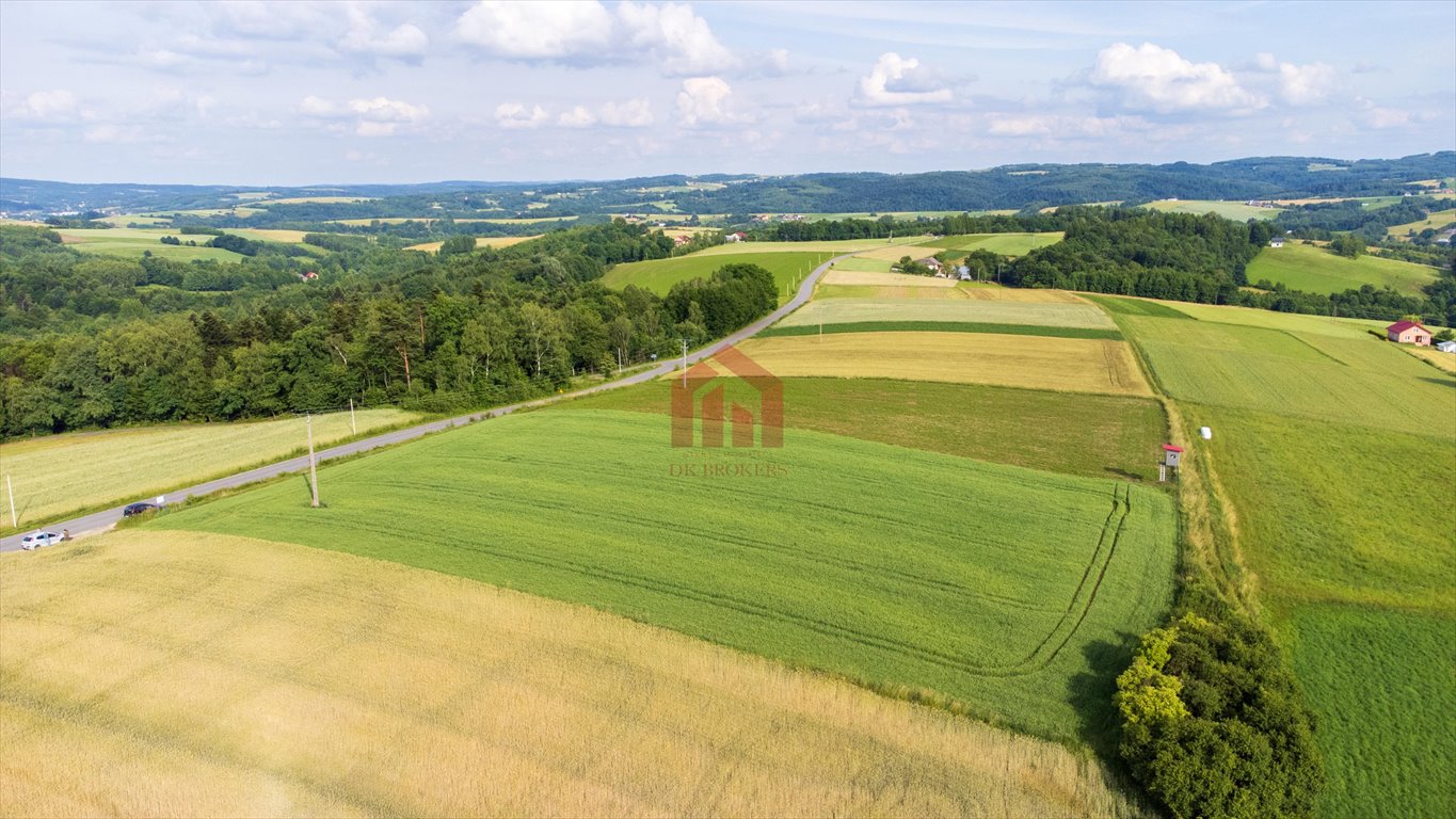 Działka budowlana na sprzedaż Wielopole Skrzyńskie  3 650m2 Foto 9