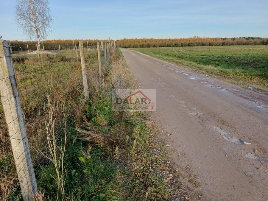 Działka rolna na sprzedaż Watraszew  3 100m2 Foto 3