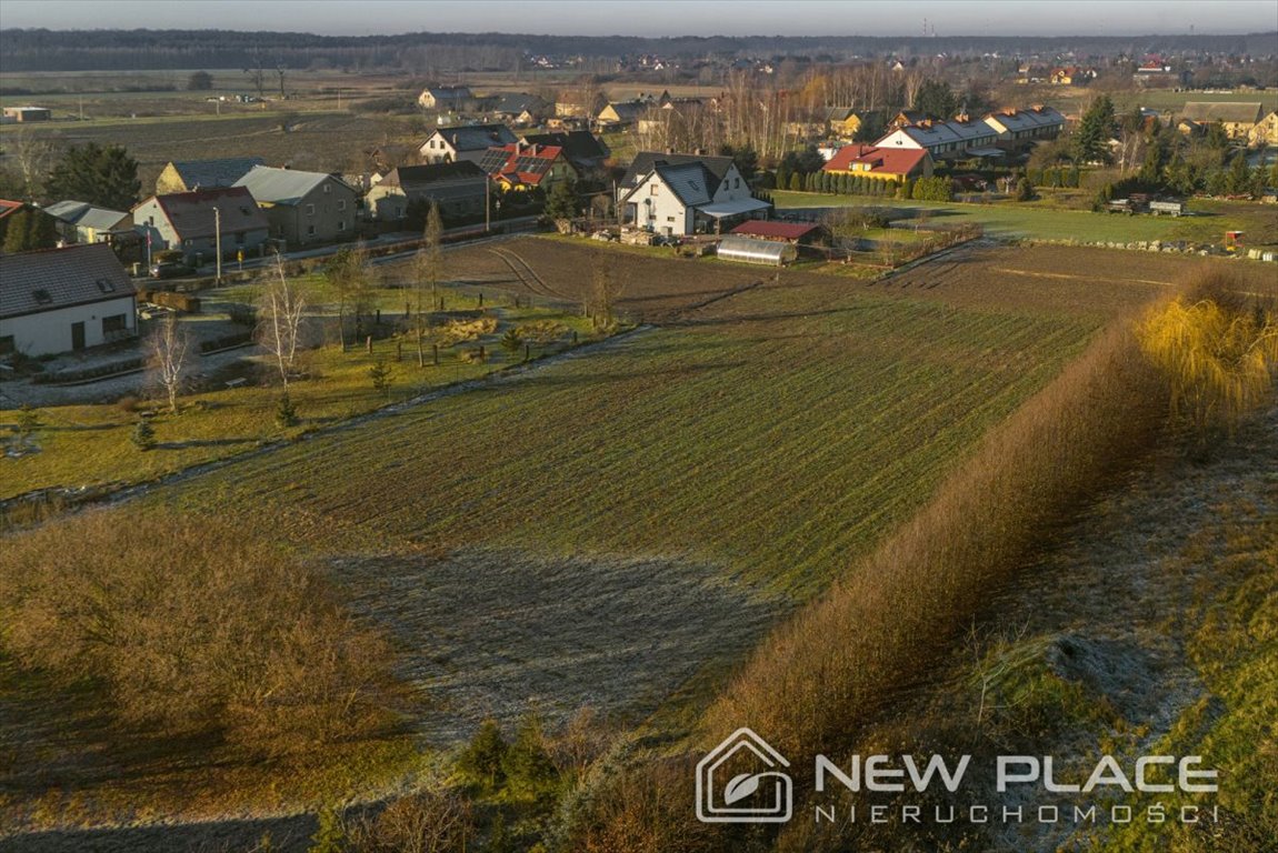 Działka budowlana na sprzedaż Kotowice, Główna  3 900m2 Foto 11